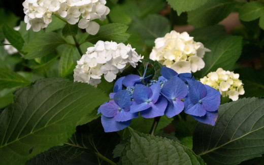 1574780 (a): :2560x1600